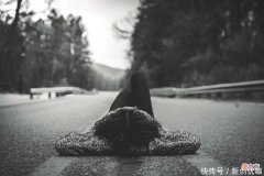 【十二星座】未来三个月，桃花相伴，良缘相随，坠入爱河，恩爱有加的三个生肖