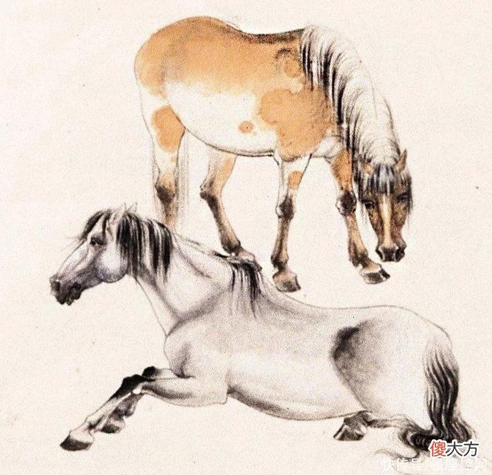 【星座控】五月过完，结束辛苦的生肖，桃花红，事业强，赚钱多