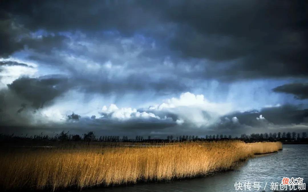 【星座控】两周后，桃花运逆袭，旧爱回头，将爱情回归，旧情复燃的三个生肖