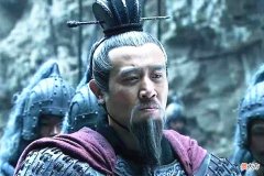 【爱历史】夷陵之战时，刘备带了10个指挥官，他们水平如何？为何斗不过陆逊