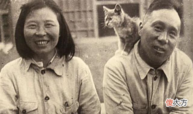 【爱历史】童养媳不堪忍受丈夫毒打怒参军,30年后成开国少将,点名要见前夫