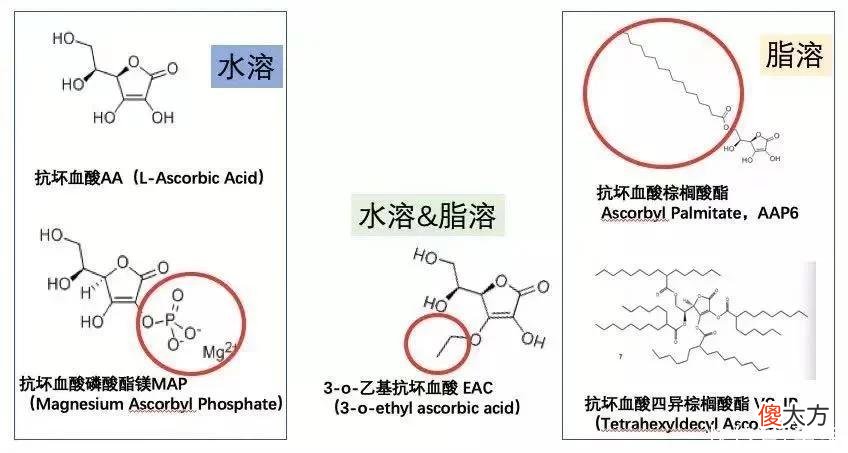 【时尚一点】扒皮！VC是神仙成分还是伪科学