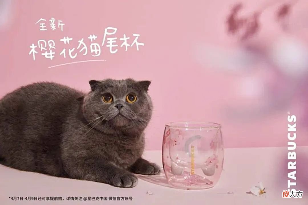 【游戏迷】可达鸭飙价到3000元！从赠品到“一鸭难求”，网友：又是智商税？