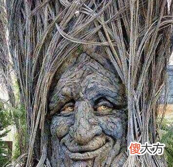 神奇的食人树吃人也就算了，还专挑漂亮女人下手，让人恨得牙痒痒