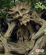 神奇的食人树吃人也就算了，还专挑漂亮女人下手，让人恨得牙痒痒