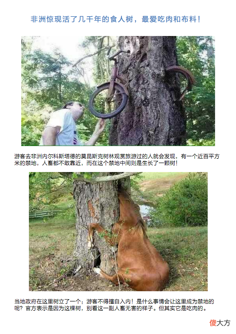 神奇的食人树吃人也就算了，还专挑漂亮女人下手，让人恨得牙痒痒