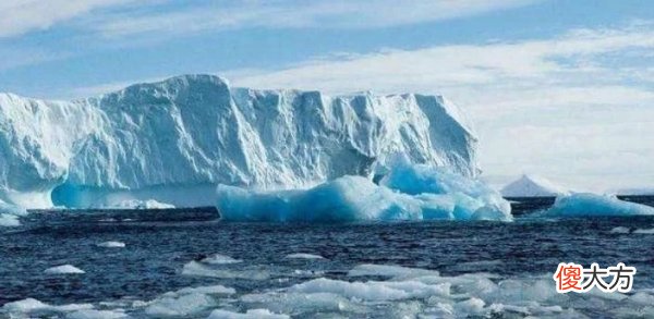 南极冰下800米处，出现“第二世界”，人类对生命的认知已颠覆