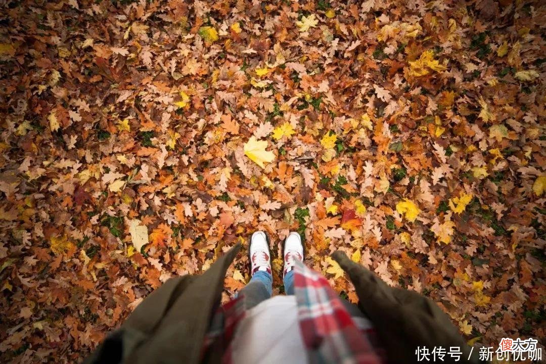【十二星座】2022下半年，接棒好运气，财势上涨，大吉大利，让人羡慕的生肖