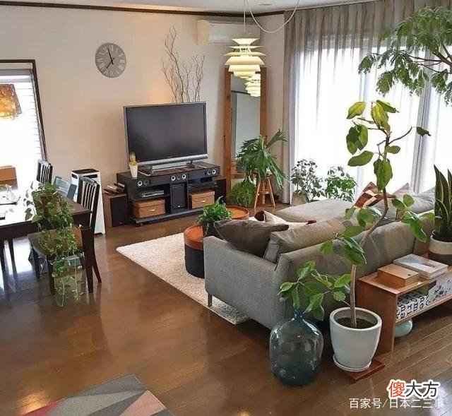 【就爱时尚】50岁日本太太晒照：把眼前的家居经营出想要的诗意