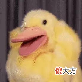 【时尚一点】女孩子真的是大怨种
