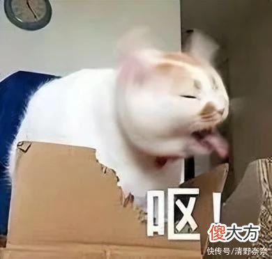 【时尚一点】女孩子真的是大怨种