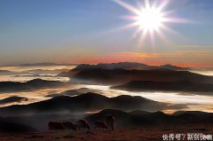 【星座控】六月，运势如虹，事业顺心，将名利双收，顺心如意的三个生肖