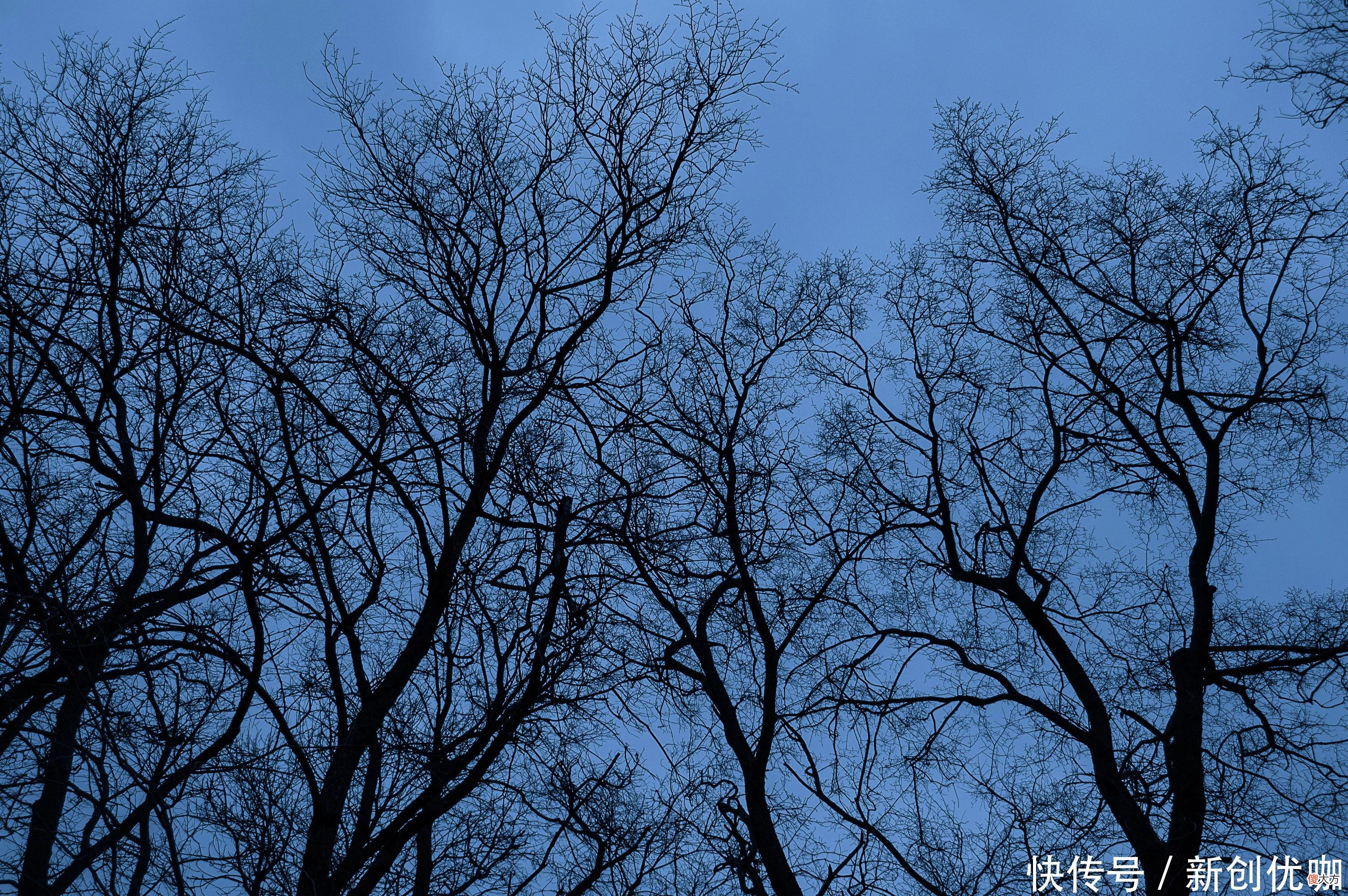 【星座控】六月，运势如虹，事业顺心，将名利双收，顺心如意的三个生肖
