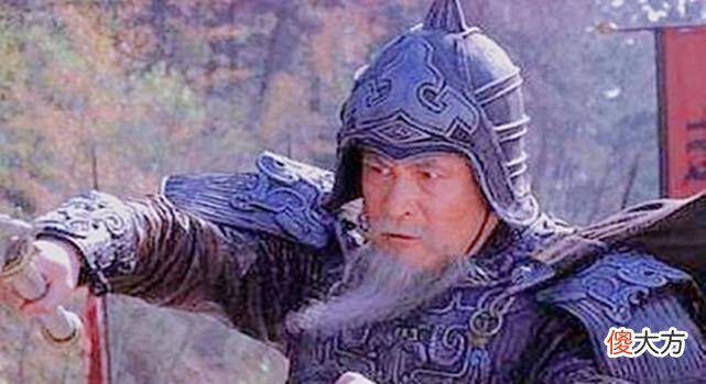 【历史故事】蜀汉阵营暗藏一猛将，一战威震四方，更是保蜀汉二十年无忧