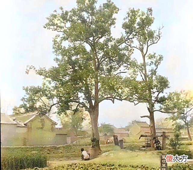 【爱历史】老照片：1942年，发生在太行山南麓一个小山村里的故事