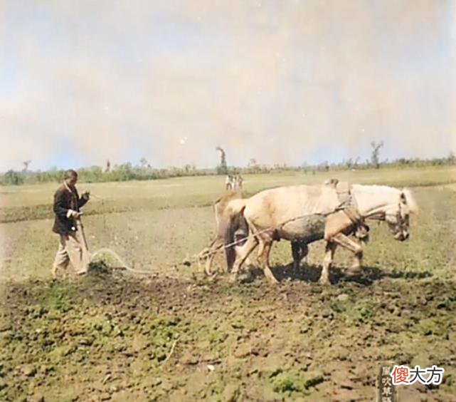 【爱历史】老照片：1942年，发生在太行山南麓一个小山村里的故事