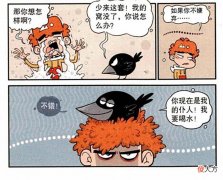 【历史故事】千里姻缘一线牵，阿衰和乌鸦真是有缘，自恋的毛病一模一样