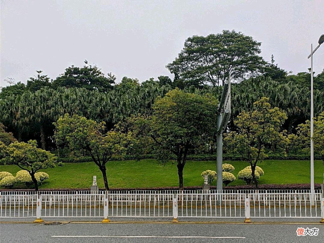 【历史故事】宋朝一高僧，山中苦修十七年，看到几个木匠砍树，顿时开悟