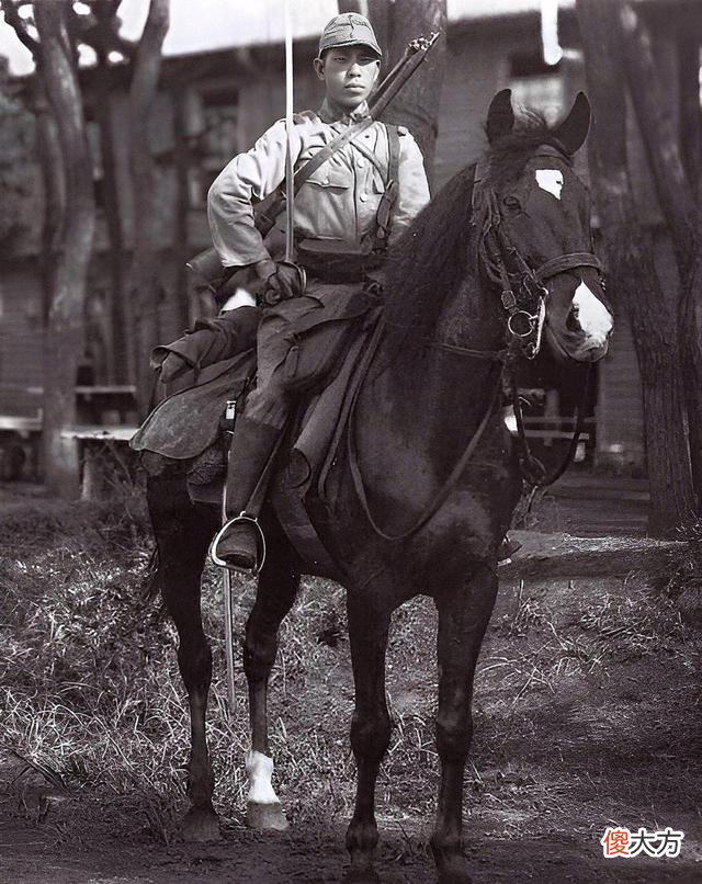 【爱历史】白草洼战役：包森率部全歼武岛骑兵中队，曾经的精锐部队至此终结
