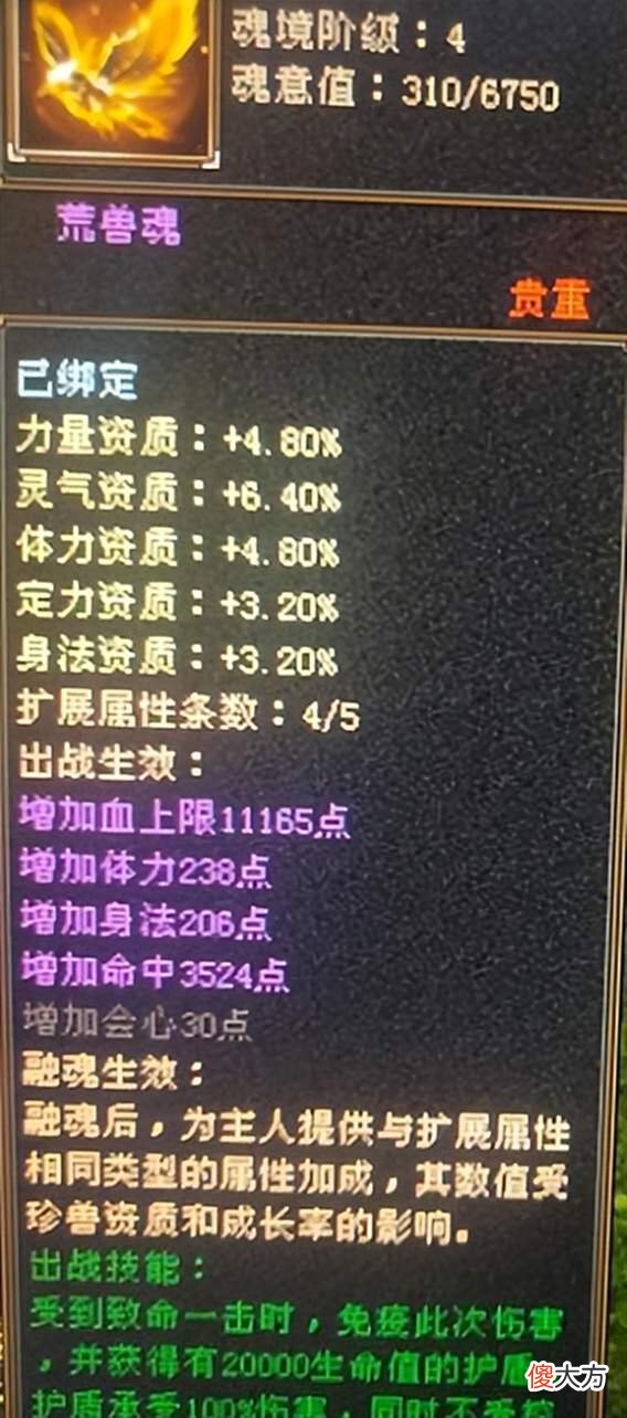 【游戏迷】天龙怀旧：玩家致敬火神，五级明教挑战怀旧最高命中，仅6颗紫玉
