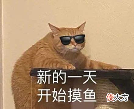 【游戏迷】《崩坏：星穹铁道》是回合制《原神》？玩家：甚至不如洛克王国