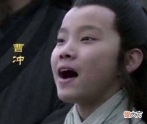 【历史故事】假如曹冲还没有死，曹操会将魏王位传给他吗？