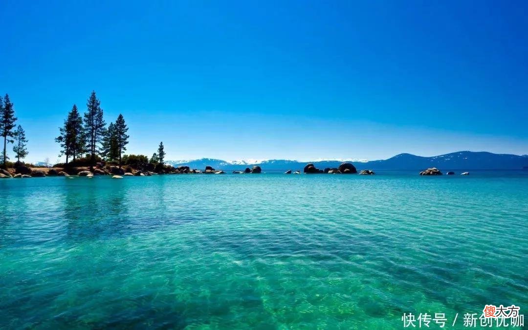 【星座控】情商居高，但不表现出来，这三个生肖容易讨人欢心，却总故意气人