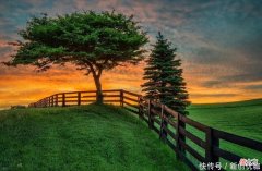 【星座控】6-9月，桃花运大好，盼来意中人，告别单身，甜蜜热恋的三个生肖