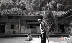 【历史故事】大爷两捆“柴火”卖1800,后成国宝禁止出口,专家:稀世珍宝