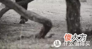 【就爱时尚】La Sportiva Ultra Raptor II: 徒步鞋的性能，越野跑鞋的灵动！