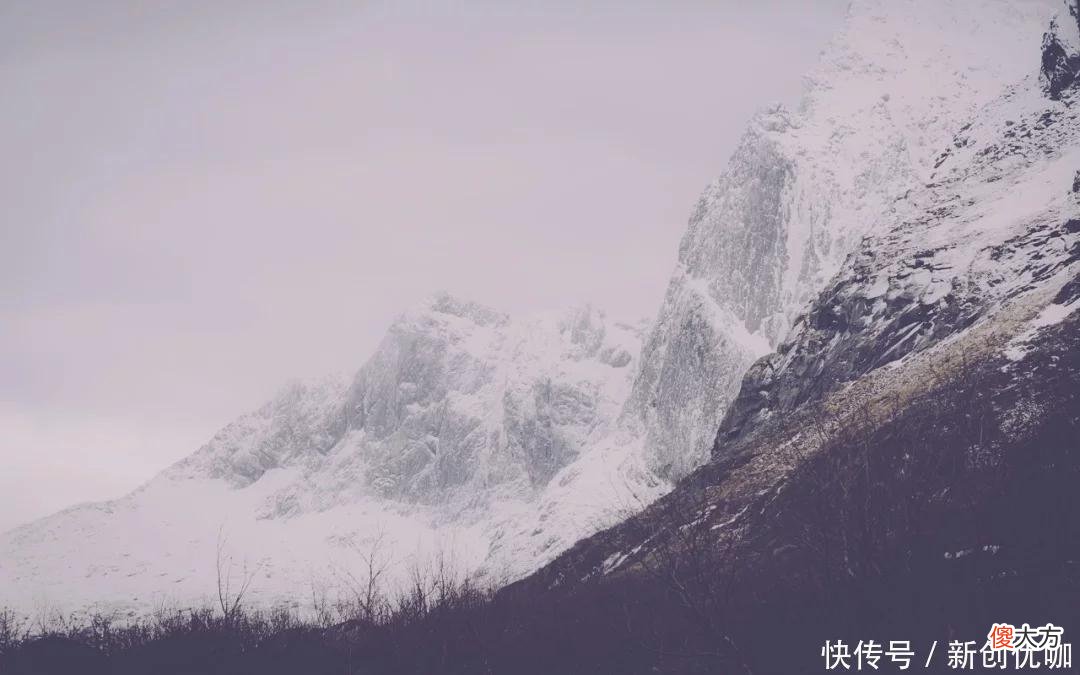 【十二星座】6月，桃花运飞涨，真爱傍身，彼此情投意合，风雨同舟的三个生肖