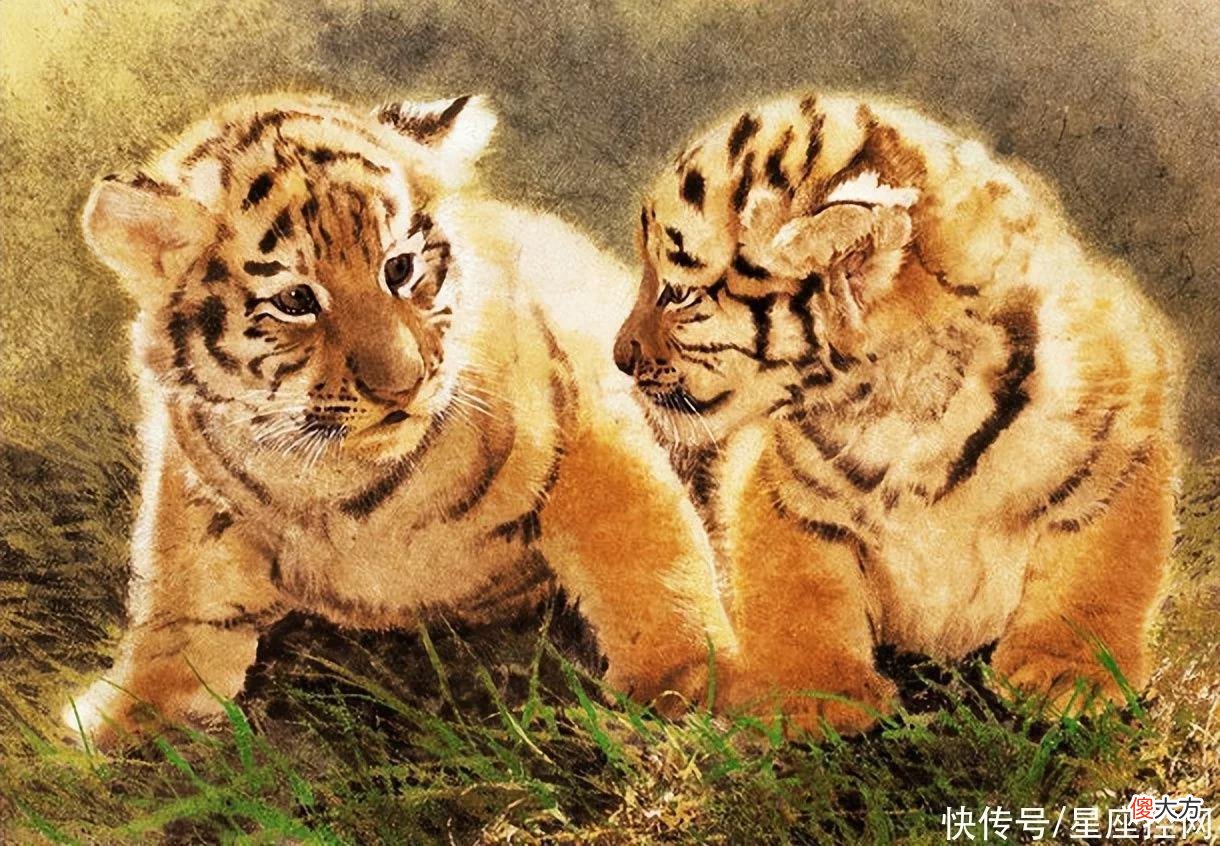 【星座控】啥生肖的人，职业有晋升空间，一到年底，贵人撑腰，平步青云
