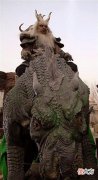 【游戏迷】牛魔王坐骑“避水金睛兽”亮瞎眼