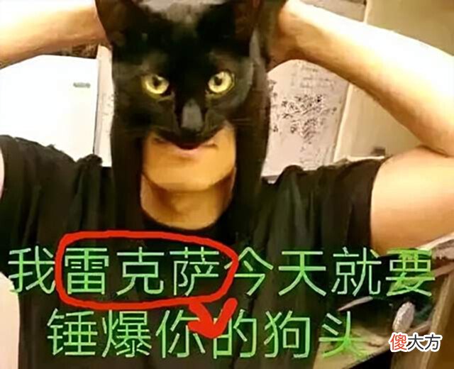【游戏迷】超高胜率的细节卡组,你能驾驭吗?