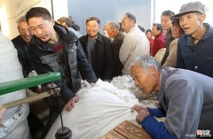 【历史故事】难忘的八十年代卖棉花，拉300斤皮棉却等了五夜六天