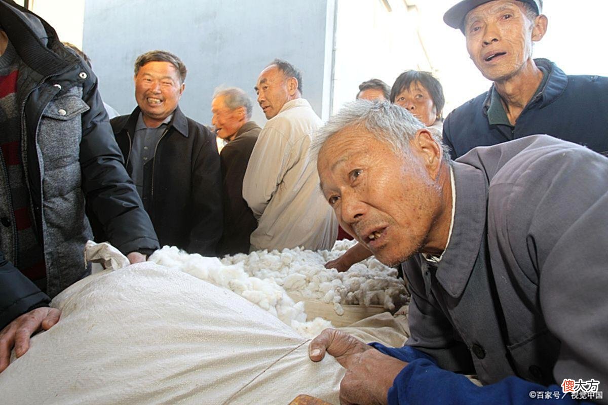 【历史故事】难忘的八十年代卖棉花，拉300斤皮棉却等了五夜六天