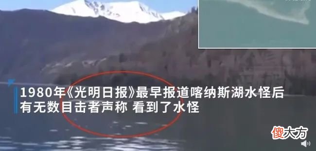 吉林一公园湖面出现“带翅膀水怪”！身上有支棱触角，到底是啥？