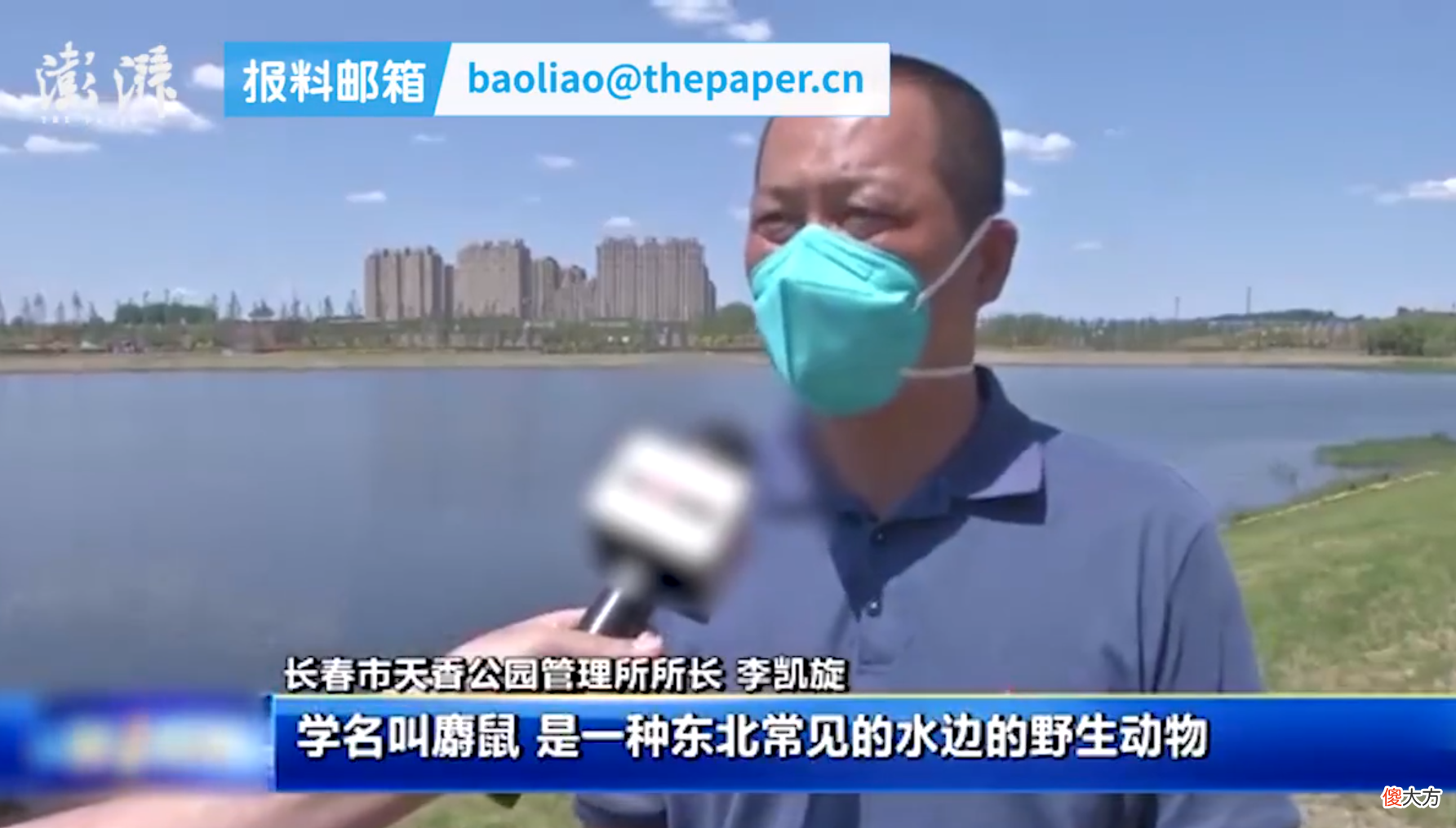 吉林一公园湖面出现“带翅膀水怪”！身上有支棱触角，到底是啥？