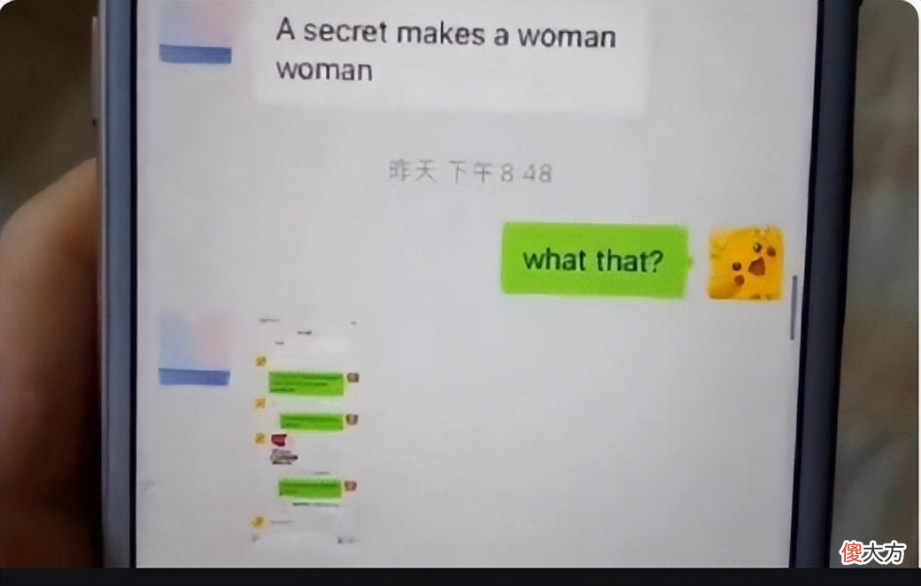 小学生英语中的“加密”，聊天历史充满英语对话，妈妈看着笑了