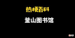 【游戏迷】『热梗百科』“釜山图书馆”是什么梗？