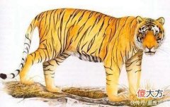 【十二星座】夏天格外富裕，3生肖先升官后致富，压力消失无踪