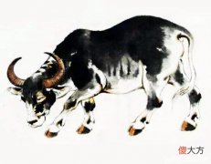 【星座控】过日子精打细算不漏财的生肖，端午前闷声致富，兜里有钱