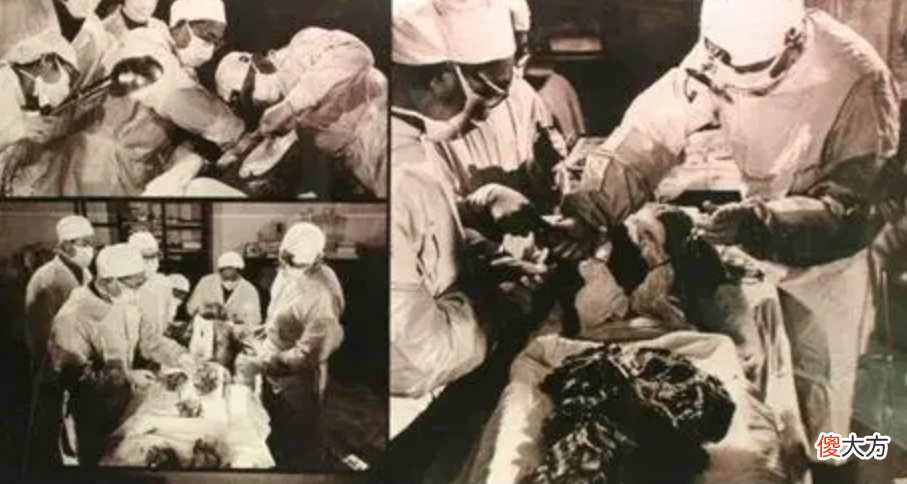 【爱历史】日本多次索要辛追夫人的头发，我国发现异常，表示半寸也不给