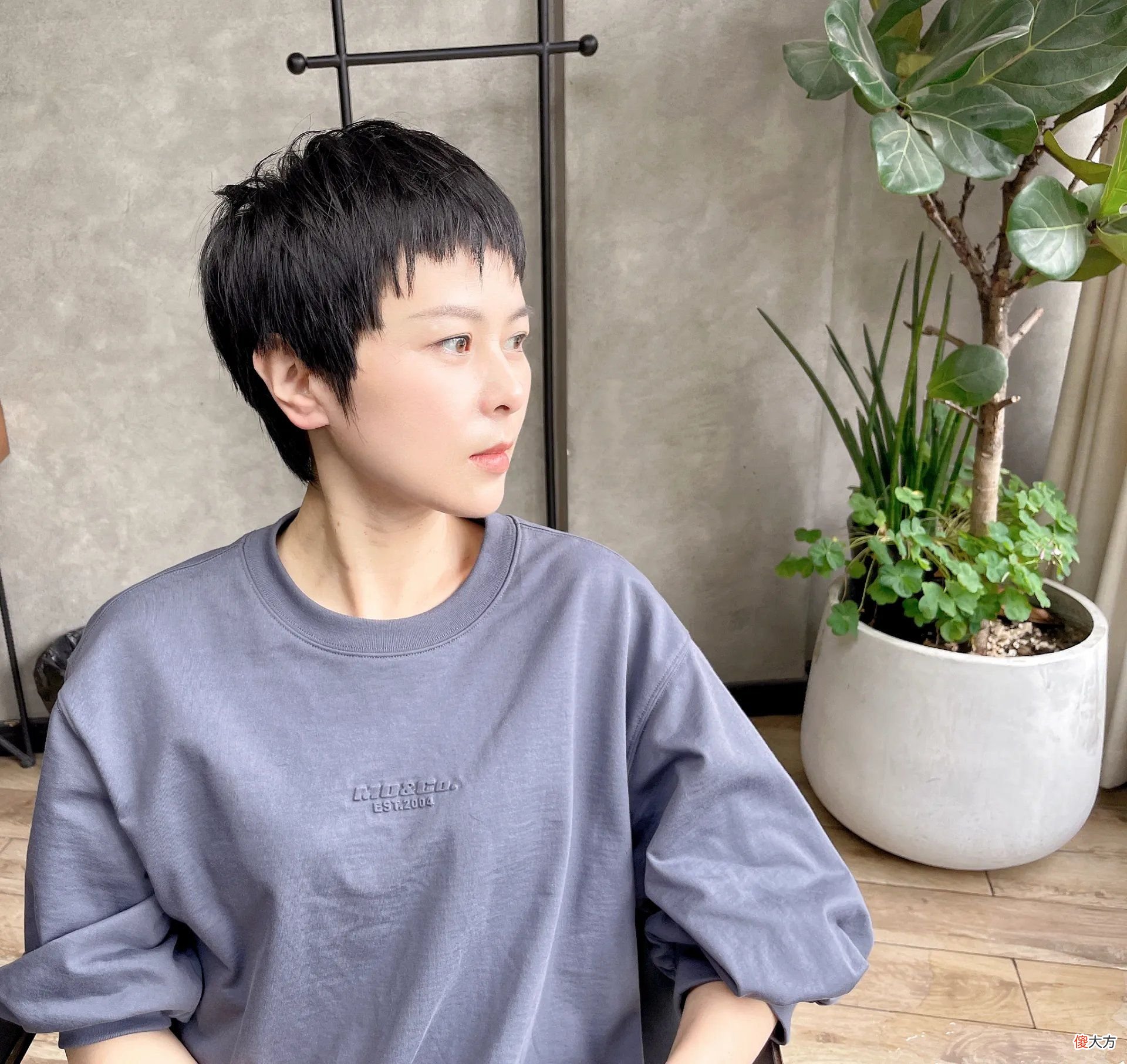 【时尚一点】高人气女发15款，款式多样色彩百变，爱美姐妹都在剪