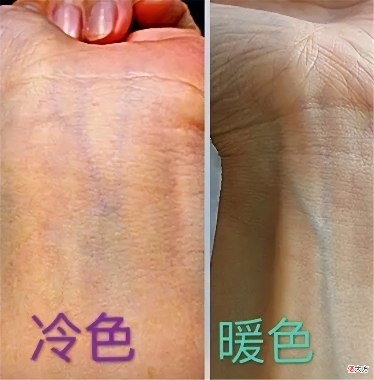 【时尚一点】什么皮肤穿什么颜色，选对了“整容级”好看！洋气、显白又衬肤