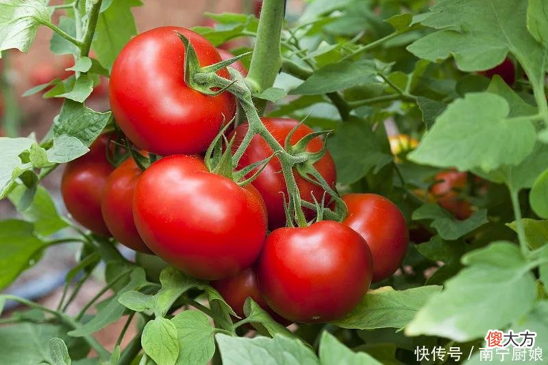 【就爱时尚】女人过了30岁,记得要多吃3种食物,“维E”含量高,让你容光焕发