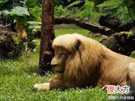 【就爱时尚】报!阿杭的齐刘海回来了