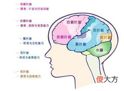 2岁前的宝宝会看书？他们看的书要怎么选？这里有答案