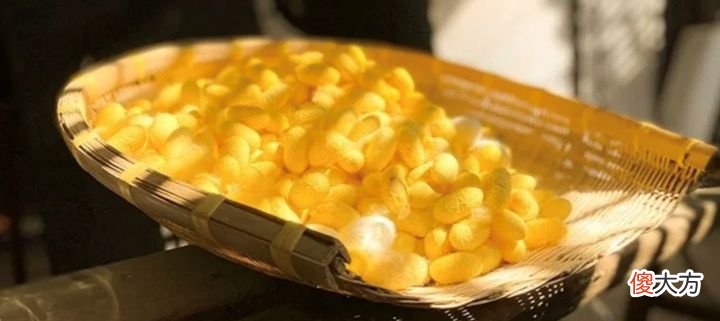 【时尚一点】夏天睡眠差皮肤容易过敏,强烈建议睡这条蚕丝被!