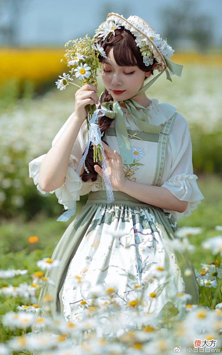 【游戏迷】Lolita:雏菊的花语是天真、和平、希望、纯洁的美